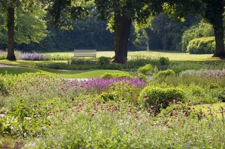 Tour 19 - Bad Driburg - Garten-Traum-Tour
