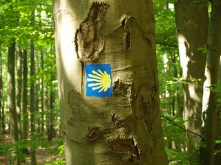 Auf dem Jakobsweg durch die Klosterregion