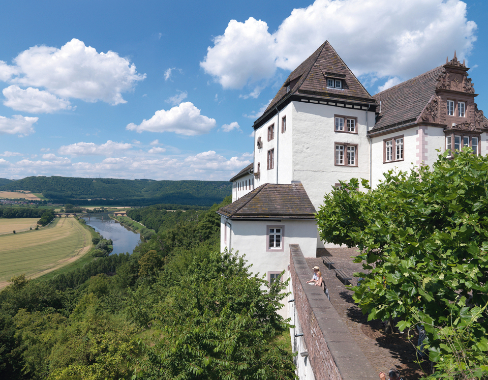 Schloss Fürstenberg - Schlösser & Burgen in der Umgebung - Burgen